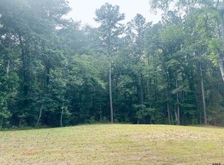Brandon St, Troup, TX 75789