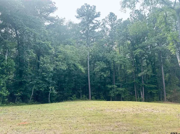 Brandon St, Troup, TX 75789