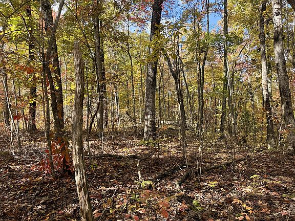 2nd image of 7778 Red Oak Ln Lot 77/78