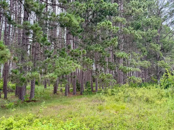 20th Street Southwest SW #20, Pine River, MN 56474