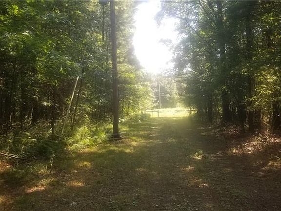 4th image of 198 Webb Ln