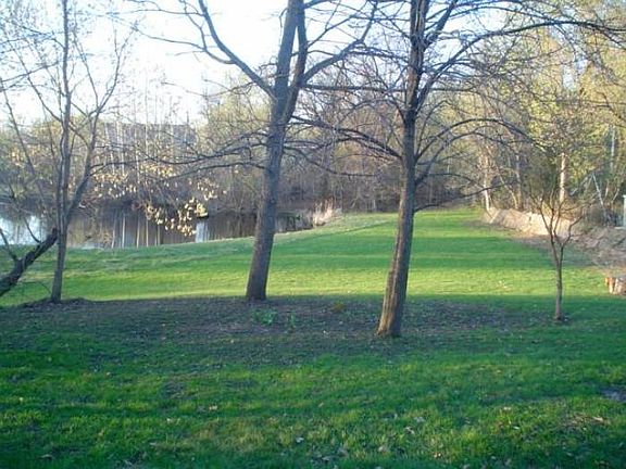 Back Yard and Pond