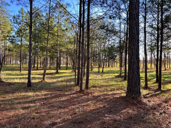 4 County Road 950 Lot 4, Calhoun, TN 37309