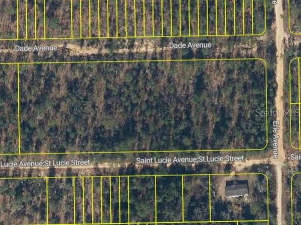 Saint Lucie Ave #1, Interlachen, FL 32148