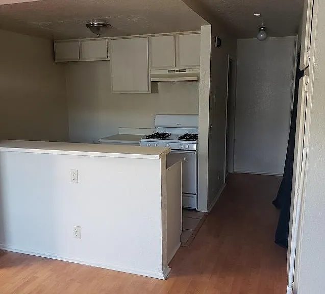 10220 Tujunga Canyon Blvd #305 — Photo 3