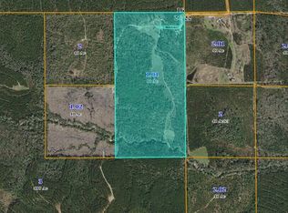 984 Milton Dunnam Rd, Richton, MS 39476