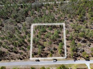 NW Holly Rd LOT 11, Dunnellon, FL 34431
