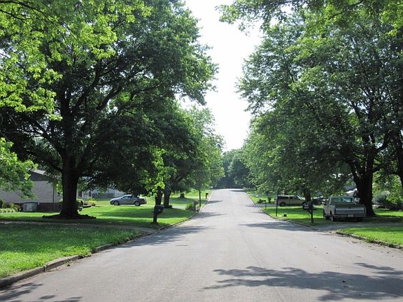 4th image of 423 Faye Dr