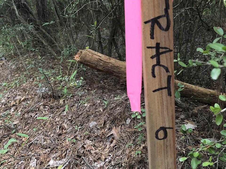 2nd image of 0 Bragg Rd