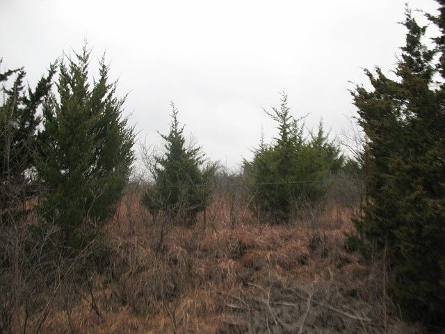 2nd image of 10250 Cedar Bluff Rd
