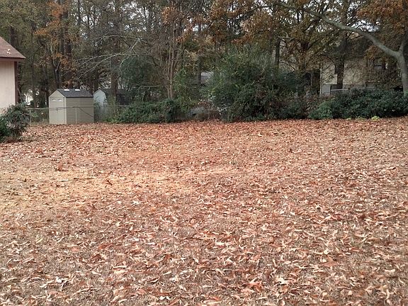 Spacious Backyard 