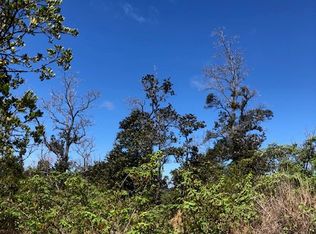 Bamboo Ln LOT 28, Ocean View, HI 96737