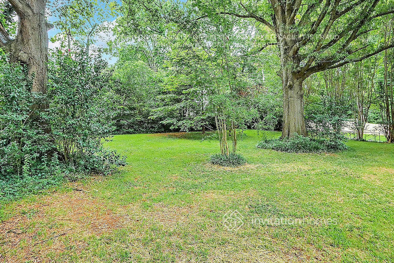 3521 Edsel Pl Charlotte, NC 28205 — Photo 4