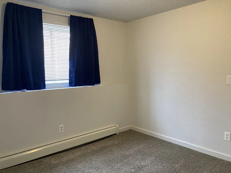 4020 Ruskin Way #2 — Photo 8