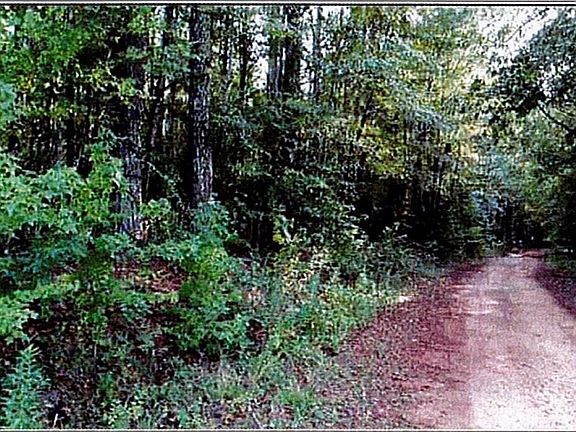4th image of 0 Felton McMichael Rd #90-091