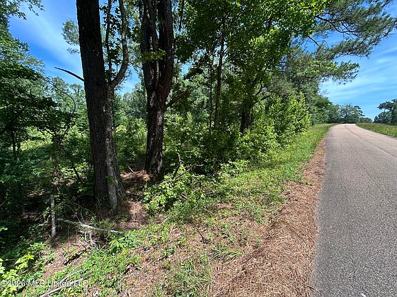4th image of Sleepy Hollow Rd