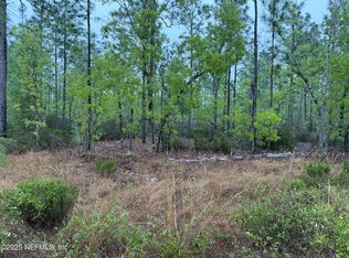 0 Lots 32 33, Interlachen, FL 32148