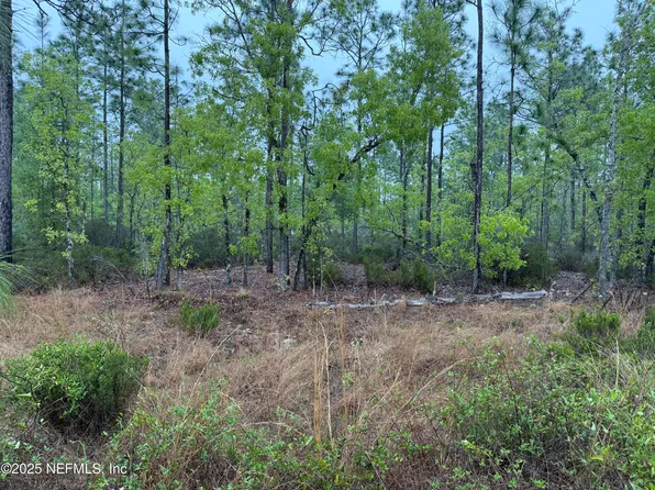 0 LOTS 32 + 33, Interlachen, FL 32148