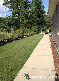 Perennials rock wall