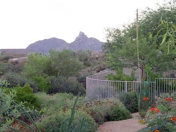 Backyard: Pinnacle Peak View
