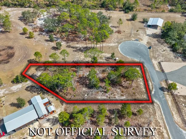 239 Leslie Lane, Perry, FL 32348