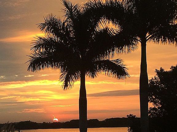 sunset daily