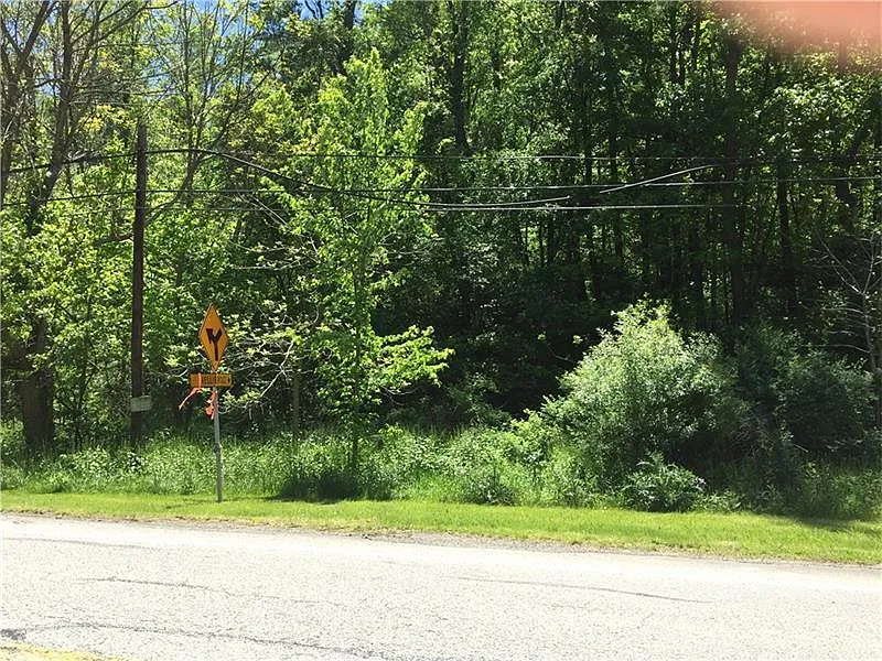 1003 Nellie Rd photo 1