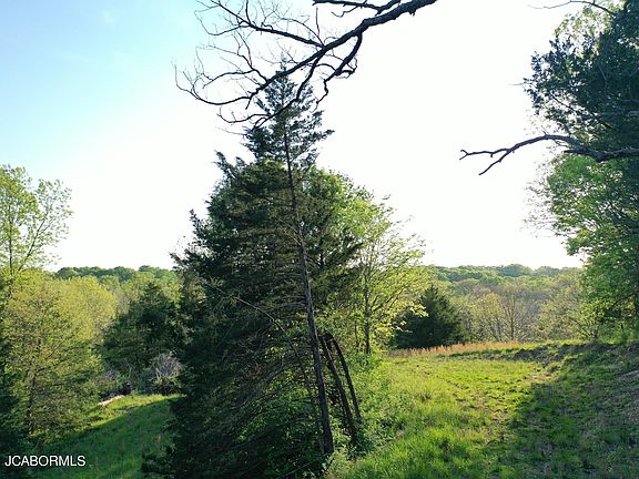 4th image of 12748 County Road 4039