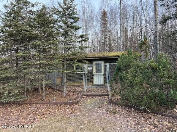 10267 N Buckingham Palace Rd, Willow, AK 99688