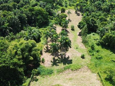 State Highway 992 Km 5.7 Bello Sitio Mameyes Lot 9, Luquillo, PR, 00773