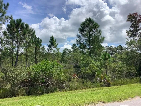 23382 Tex Wheeler Ave #86, Christmas, FL 32709