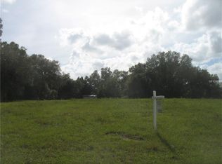 12705 McIntosh Groves Ln, Thonotosassa, FL 33592