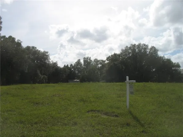 12705 McIntosh Groves Ln, Thonotosassa, FL 33592