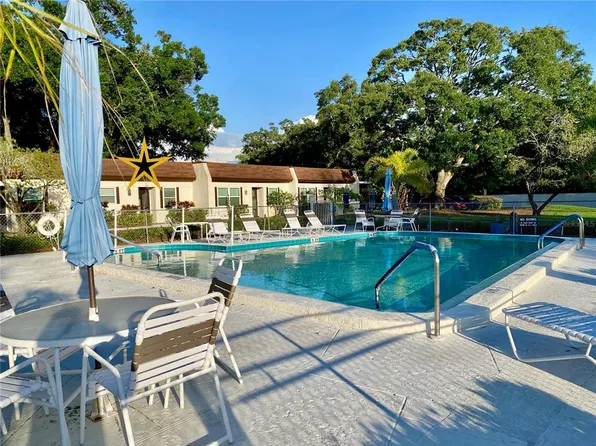 3157 Mission Grove Dr, Palm Harbor, FL 34684