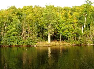 Homan Lake Rd #25, Iron River, MI 49935