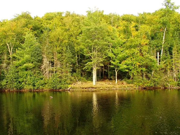 Homan Lake Rd #25, Iron River, MI 49935
