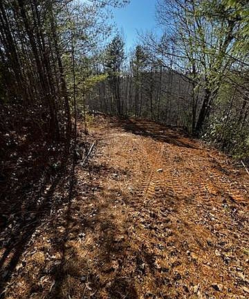 3rd image of LOT 16 Paradise