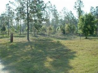 3603 Golden Gem Rd, Apopka, FL 32712