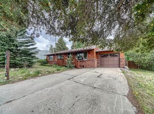 619 W 7th St, Leadville, CO 80461