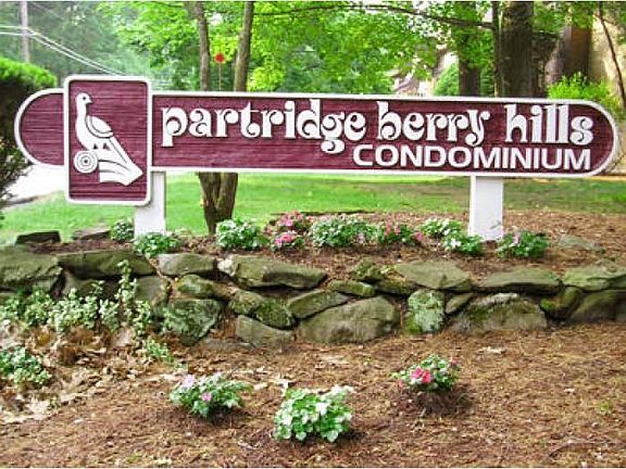 Partridge Berry Hills
