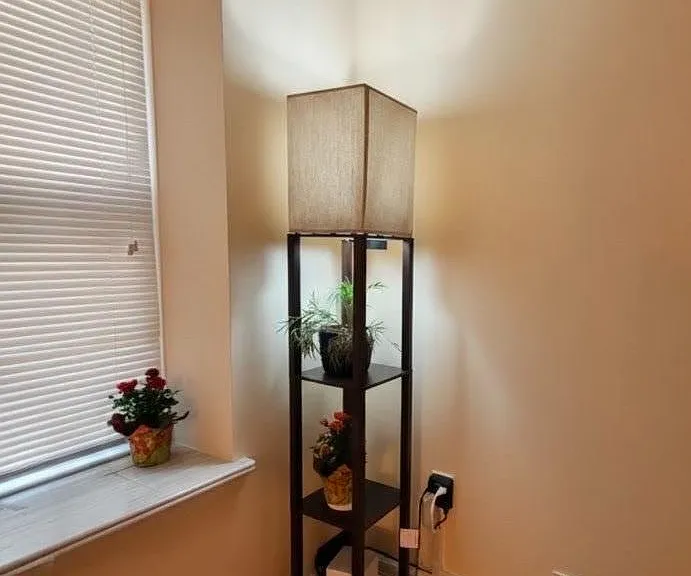34 Almond Dr — Photo 27