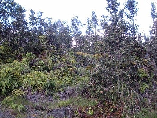 1st image of 11-3302 Alaula St Lot 358