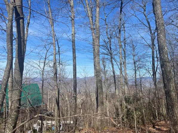 99999 Lytle Cove Rd, Swannanoa, NC 28778