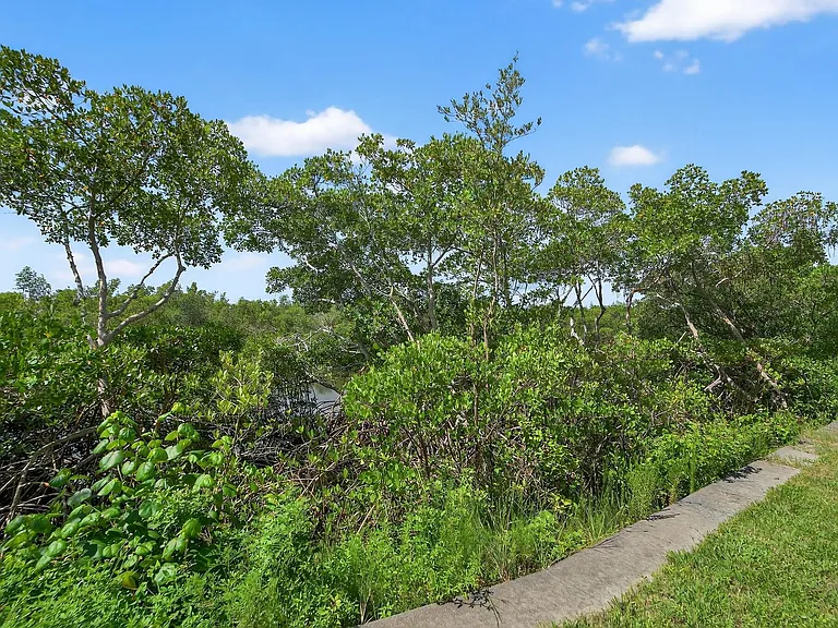 3266 Mangrove Point Dr — Photo 18