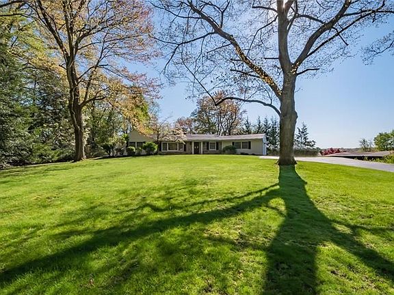 3rd image of 393 Elm Dr