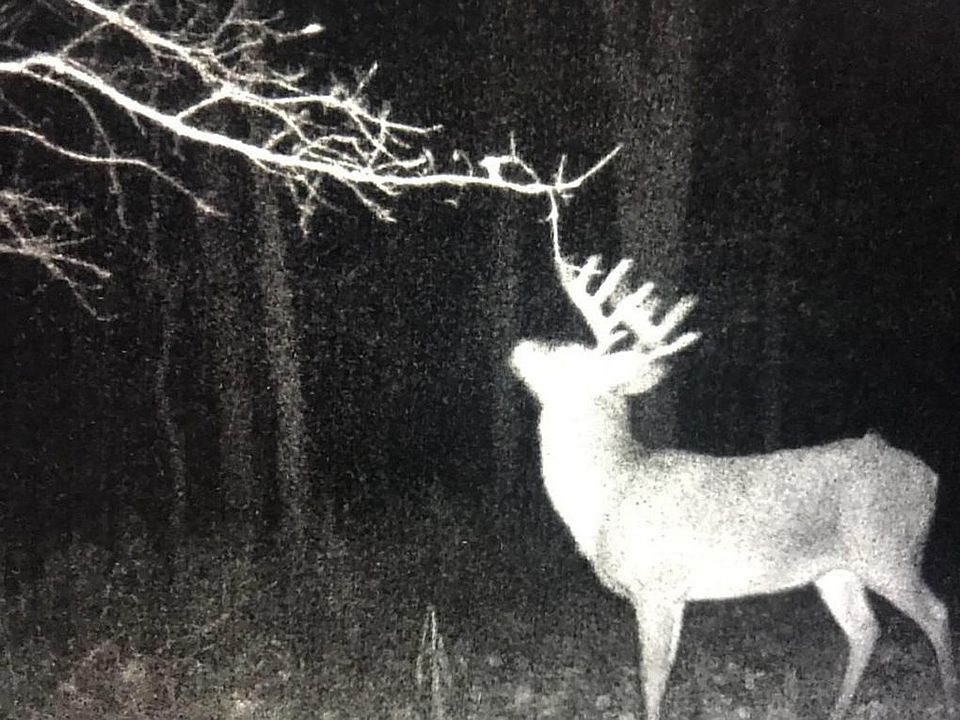 1st image of 32585 County Road 16