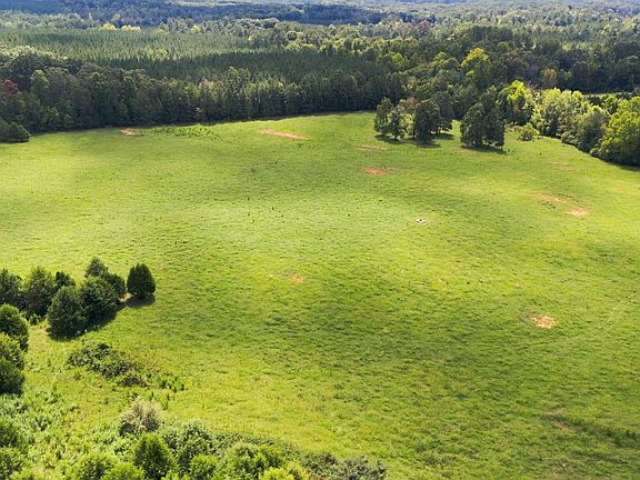 3rd image of 859 Pittsboro Goldston Rd Lot 2