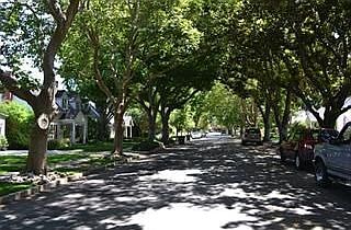 The definition of "tree lined street"