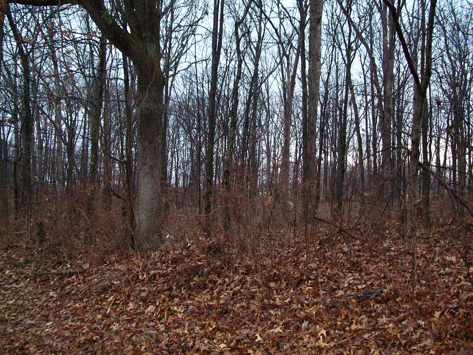 1st image of 0000 N Blackbird Lane