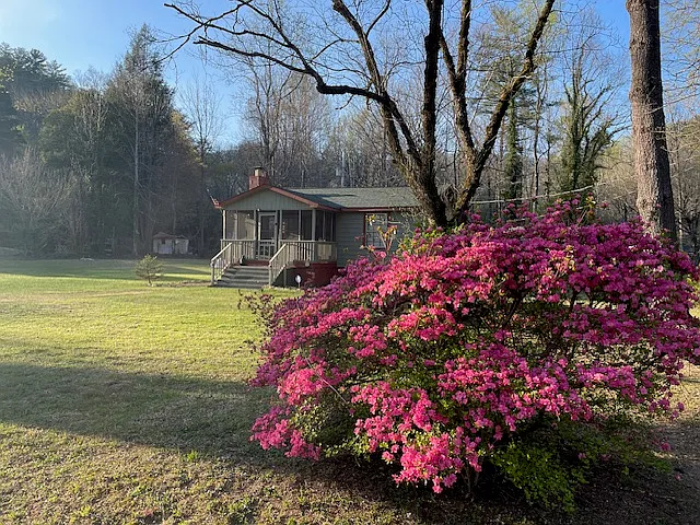 Front Yard